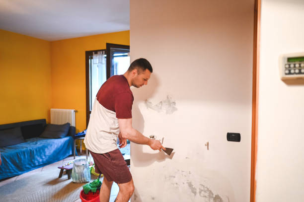 Best Crawl Space Mold Removal  in Buffalo Center, IA